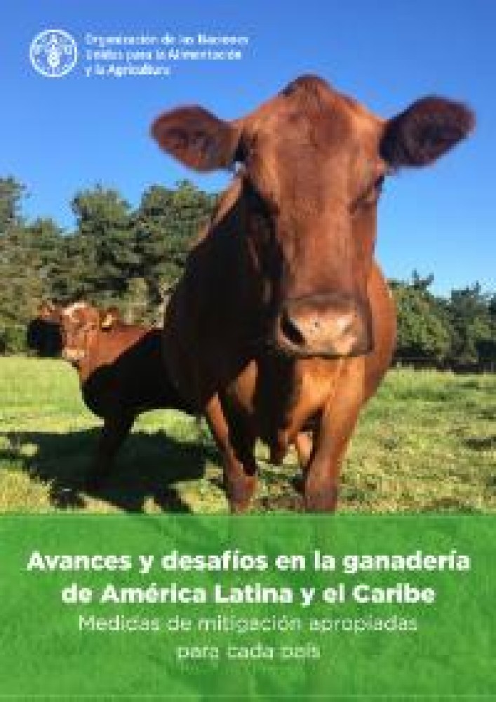 Advances and challenges in livestock farming in Latin America and the Caribbean - Appropriate mitigation measures for each country