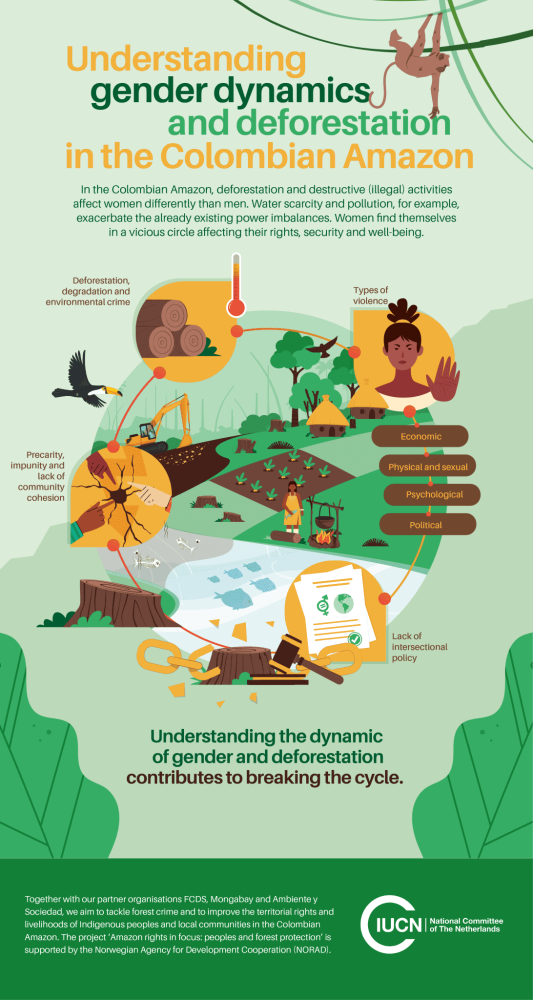 Understanding gender dynamics and deforestation in the Colombian Amazon