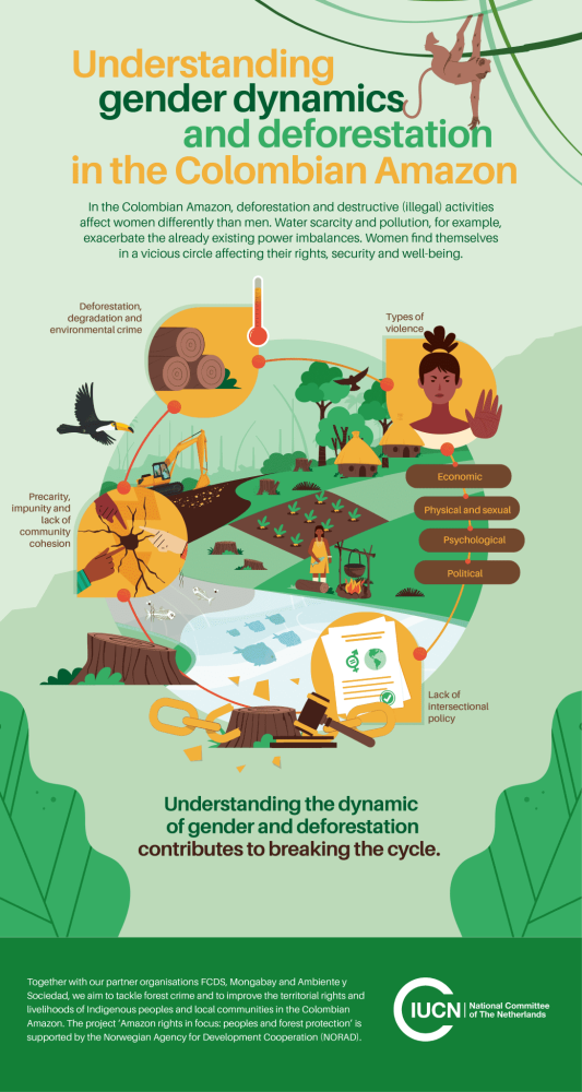 Dinámicas de género y deforestación en la Amazonia colombiana