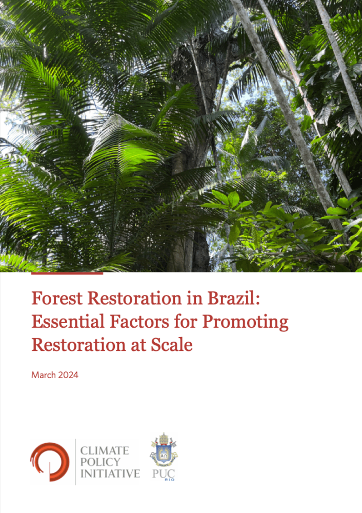 Restauración forestal en Brasil: Factores esenciales para promover la restauración a escala