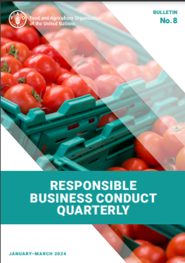 Responsible Business Conduct Quarterly. Bulletin No. 8, January–March 2024