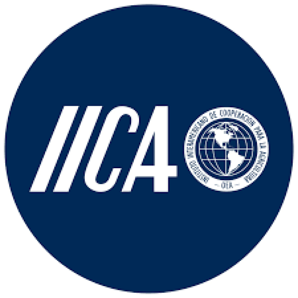 Reflections on agricultural and rural development and agro-food systems in Latin America and the Caribbean