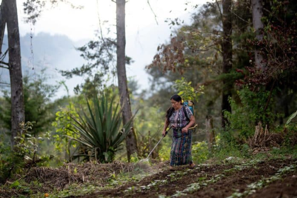 Lanzamiento del Decenio Interamericano por los Derechos de las Mujeres Rurales