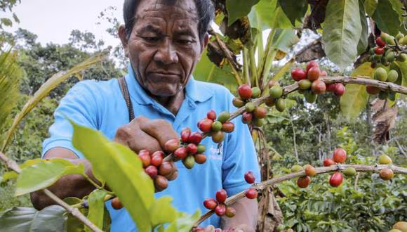Restricciones de la UE a la agroexportación: ¿Cuánto avanzó el Perú para evitarlas?