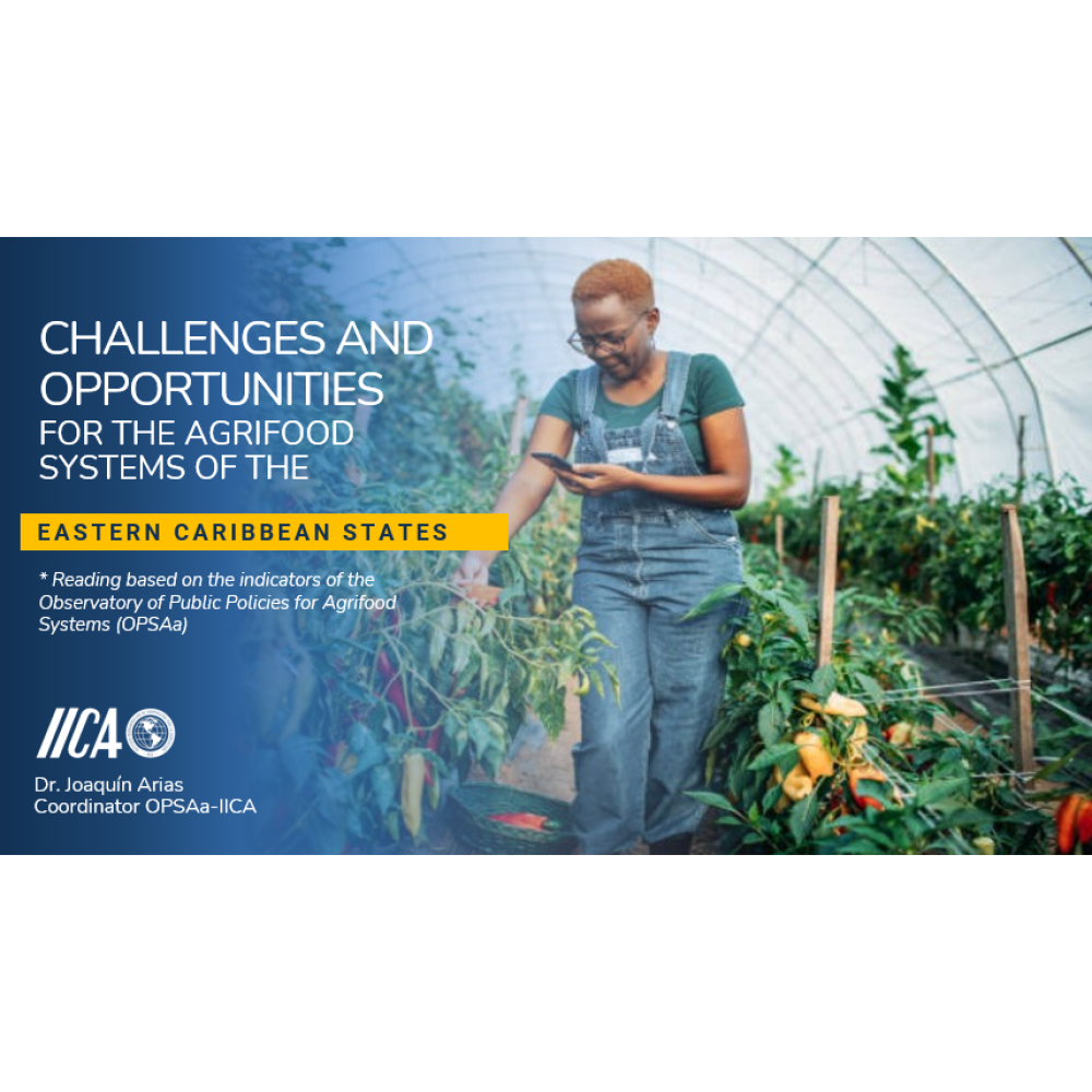 Presentación: Desafíos y oportunidades  para los sistemas agroalimentarios de los Estados del Caribe Oriental: Lectura basada en los indicadores del Observatorio de Políticas Públicas para Sistemas Agroalimentarios (OPSAa)