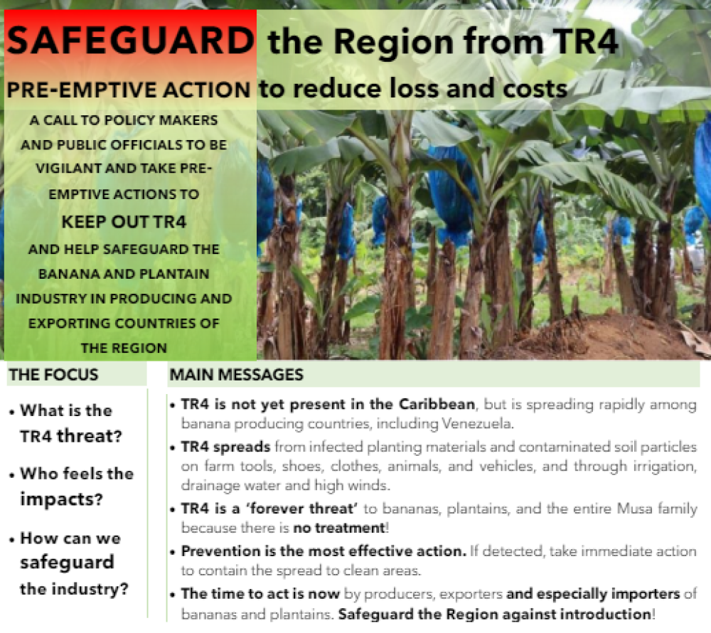Policy brief: Safeguarding the TR4 Region
