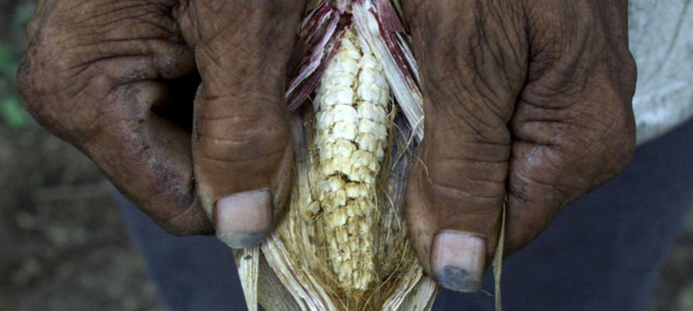 Latin America suffers extreme phenomena due to El Niño and climate change