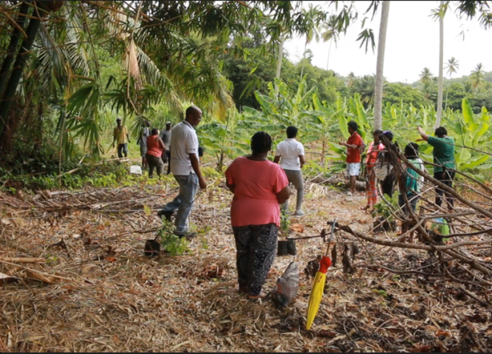 OECS completes flood mitigation works in the community of Malgretoute, Saint Lucia