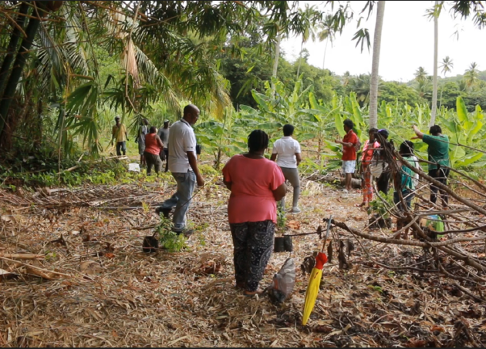 La OECS  completa las obras de mitigación de inundaciones en la comunidad de Malgretoute, Santa Lucía