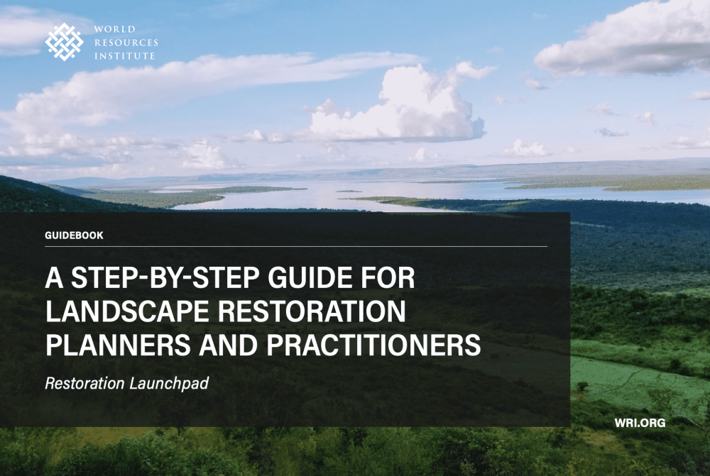 The Restoration Launchpad: A Step-by-Step Guide for Restoration Planners and Practitioners