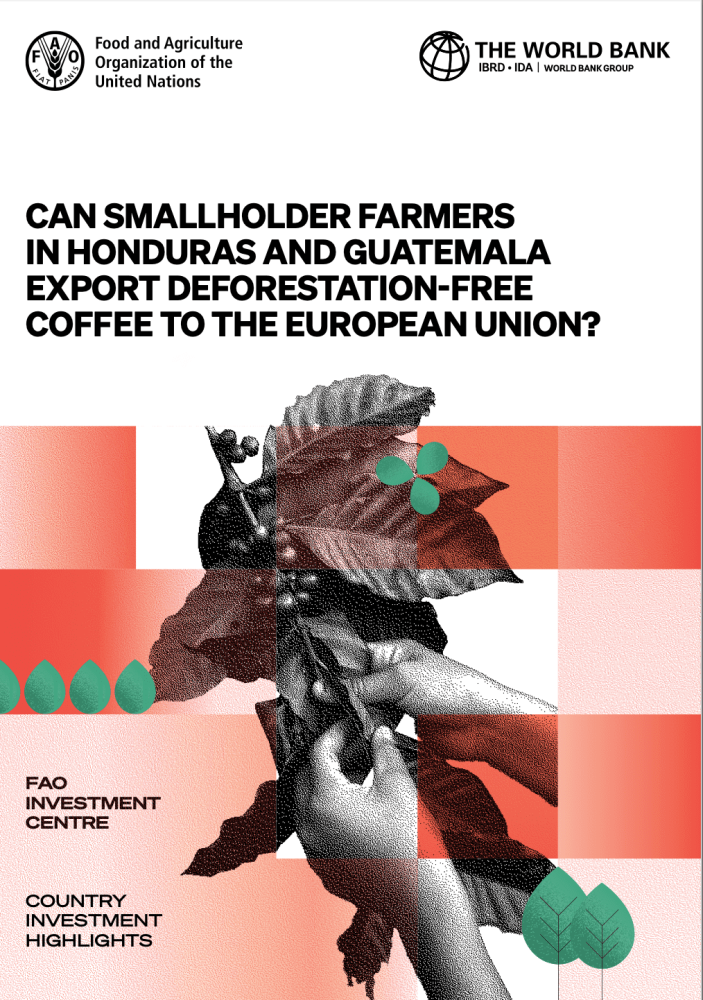Can smallholder farmers in Honduras and Guatemala export deforestation-free coffee to the European Union?