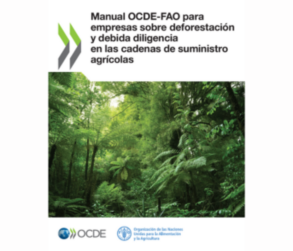 Manual OCDE-FAO para empresas sobre deforestación y debida diligencia en las cadenas de suministro agrícolas