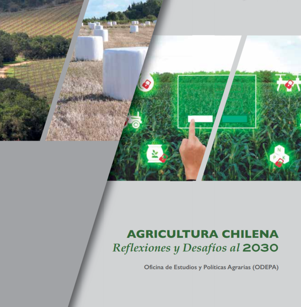Chilean Agriculture: Reflections and Challenges for 2030