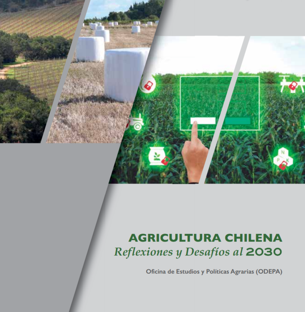 Agricultura chilena: Reflexiones y Desafíos al 2030