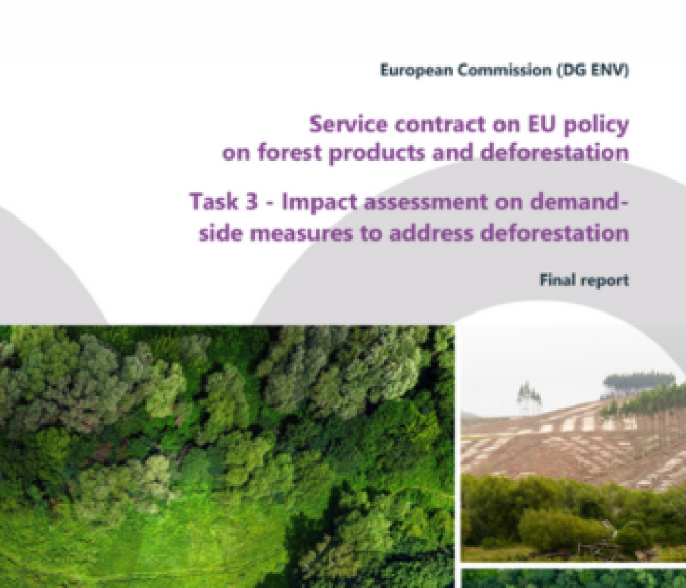 Impact assessment of demand-side measures to address deforestation - Final Report