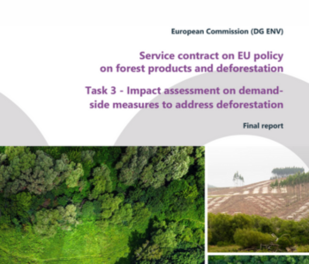 Evaluación del impacto de las medidas relativas a la demanda para hacer frente a la deforestación - Informe final
