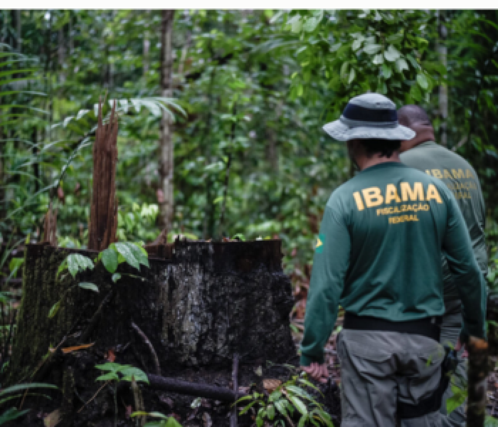 Latin America expands legal framework against environmental crimes