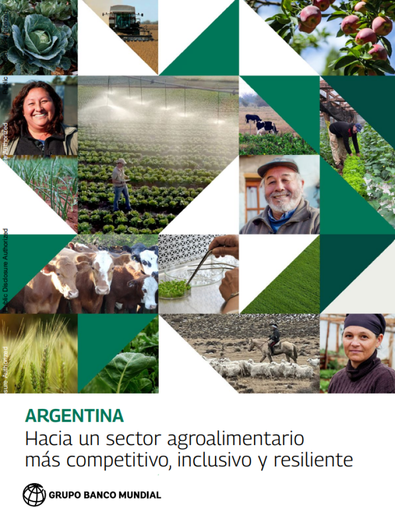 Argentina: Hacia un sector agroalimentario  más competitivo, inclusivo y resiliente