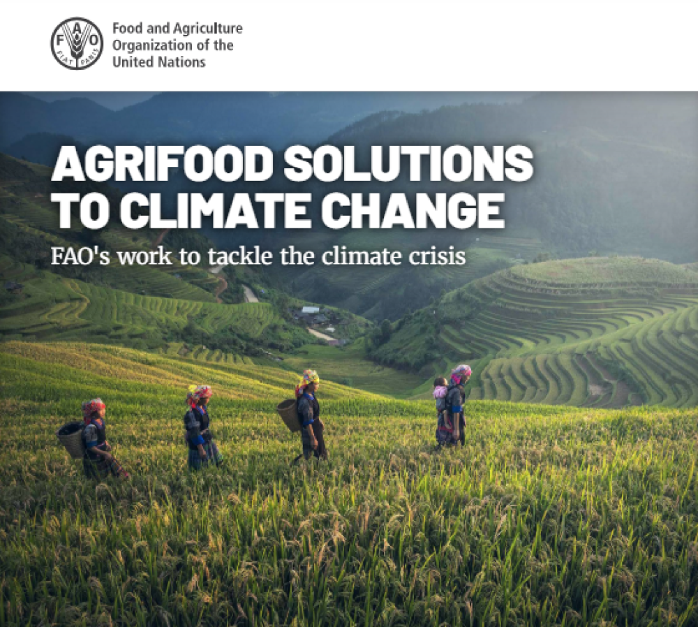 Agri-food solutions to climate change