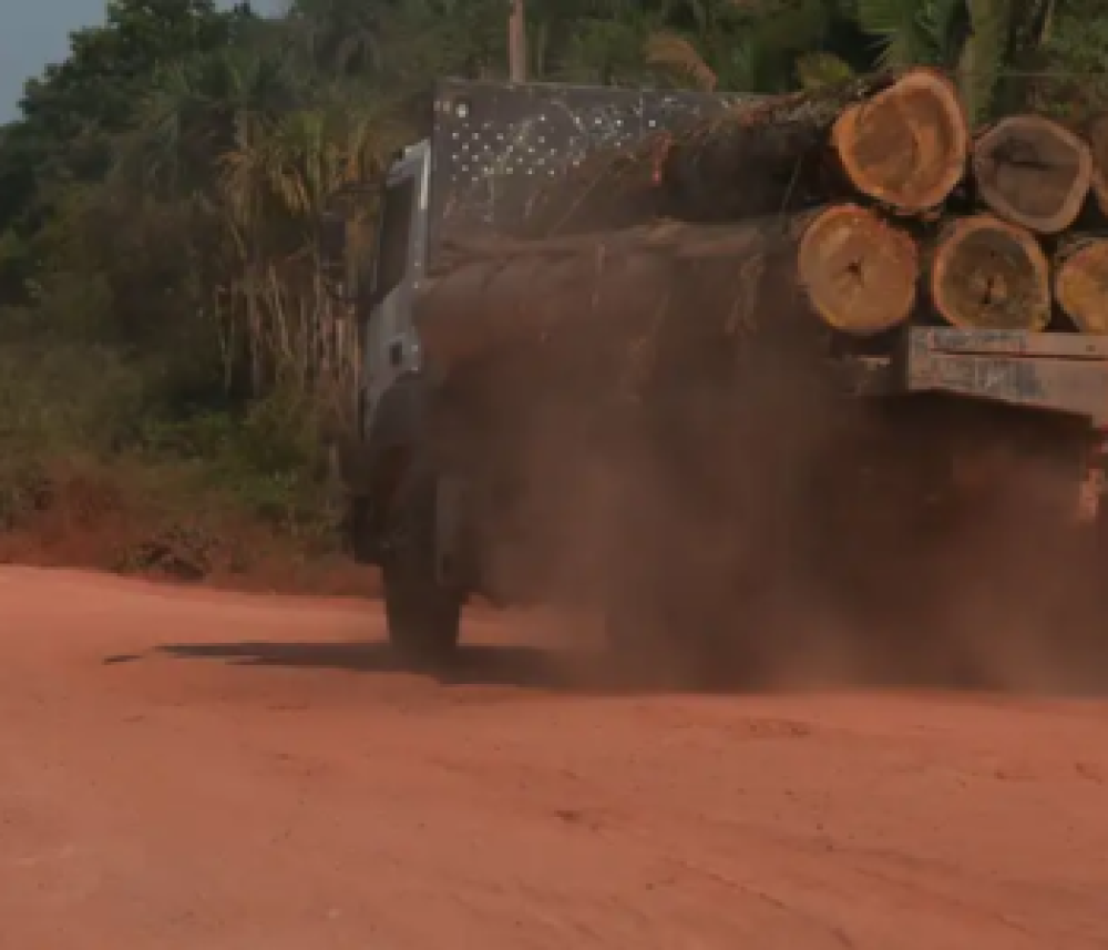 Ley europea "Deforestation free": ¿efecto en Latinoamérica?