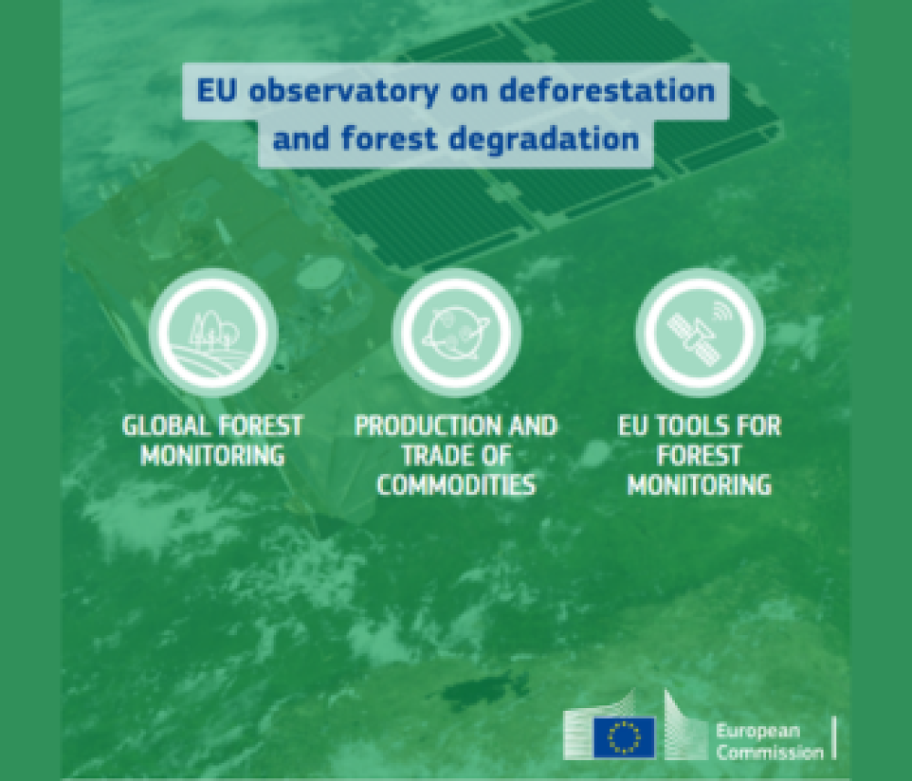 Observatorio de la UE sobre deforestación y degradación forestal
