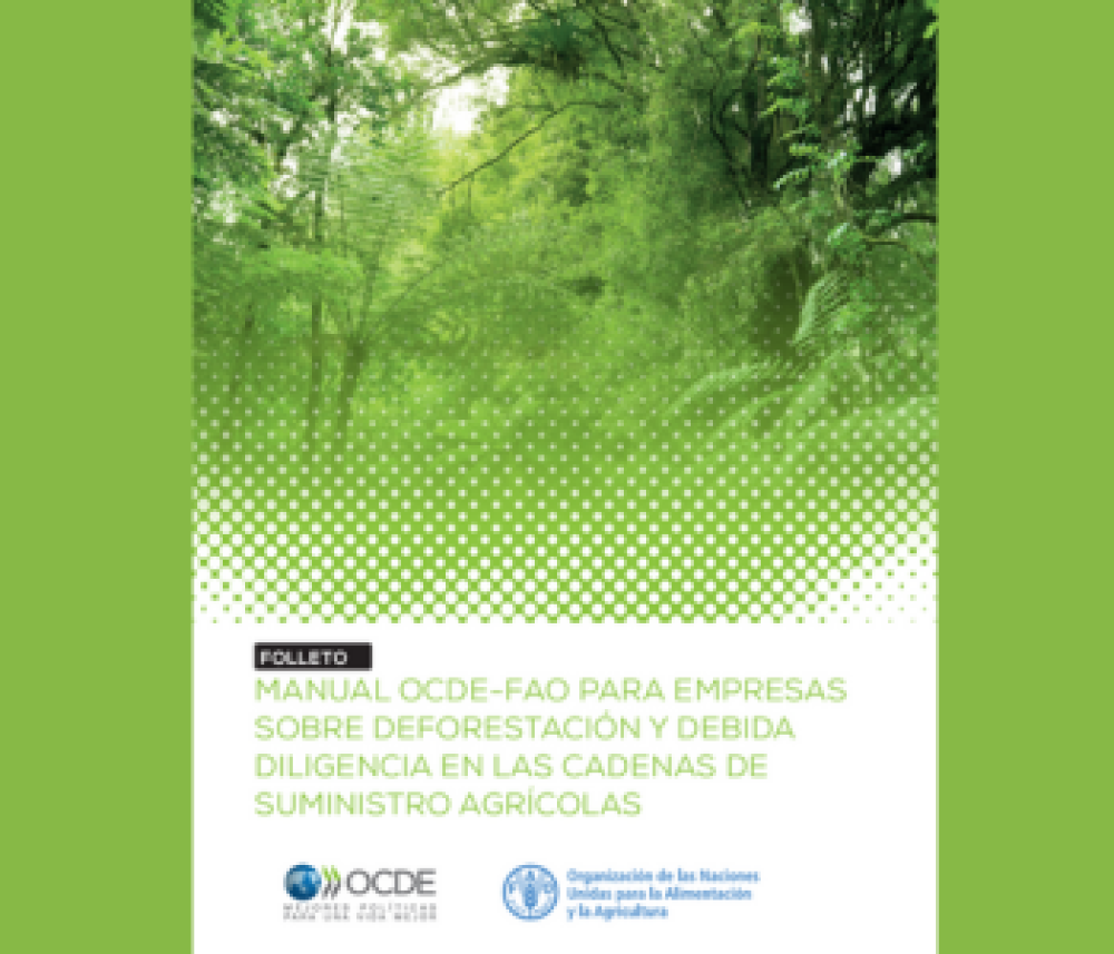 Folleto Manual OCDE-FAO para empresas sobre Deforestación y Debida Diligencia en las Cadenas de Suministro Agrícolas