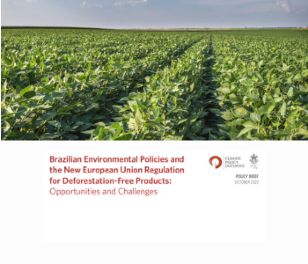 Brazilian Environmental Policies and the New European Union Regulation for Deforestation-Free Products: Opportunities and Challenges