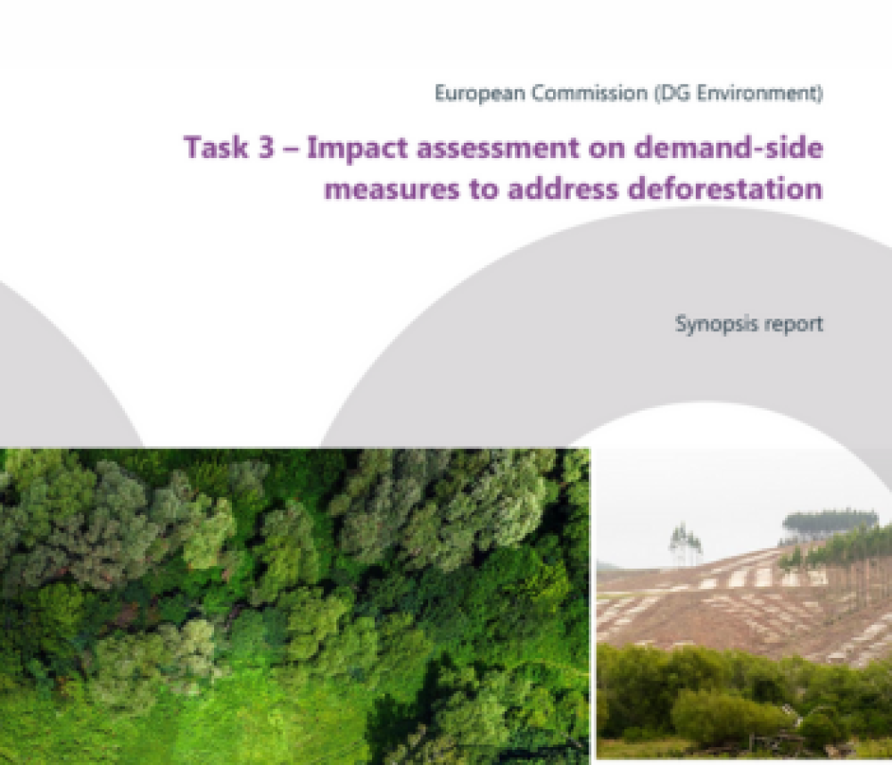 Evaluación del impacto de las medidas de demanda para combatir la deforestación - Informe sinóptico