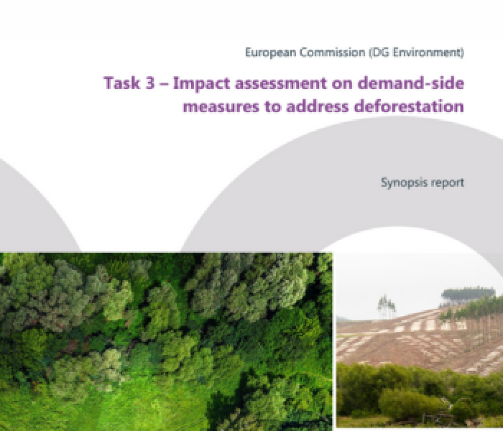 Impact assessment on demand-side measures to address deforestation - Synopsis report