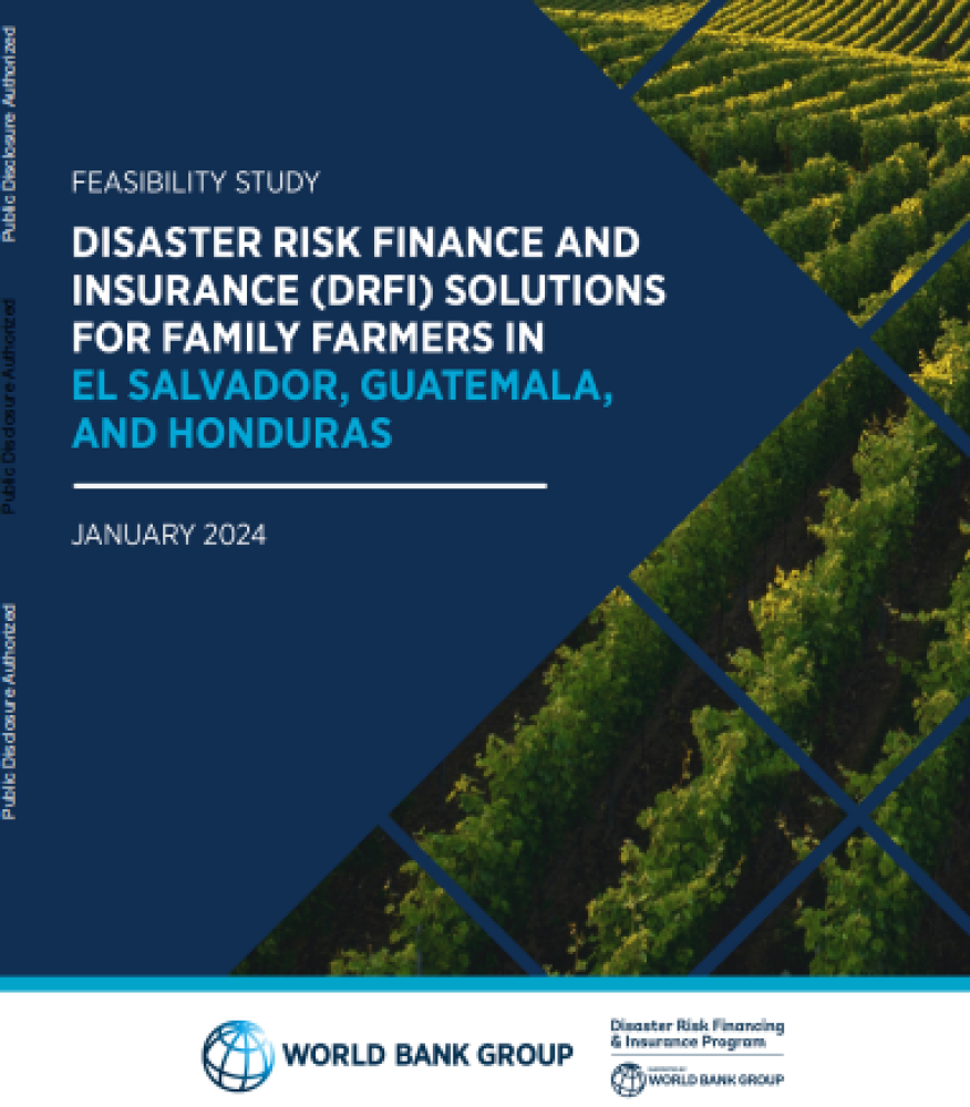 Estudio de factibilidad: Soluciones de financiamiento y seguro contra riesgos de desastres para agricultores familiares en El Salvador, Honduras y Guatemala