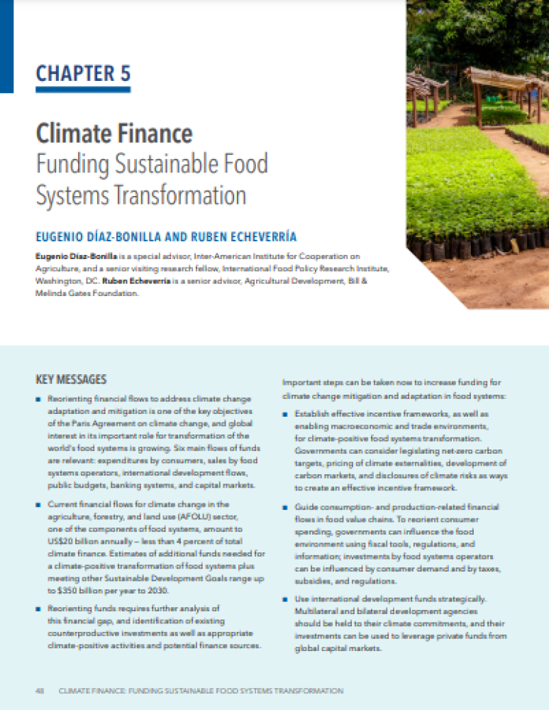 Financiación climática: financiación de la transformación de sistemas alimentarios sostenibles