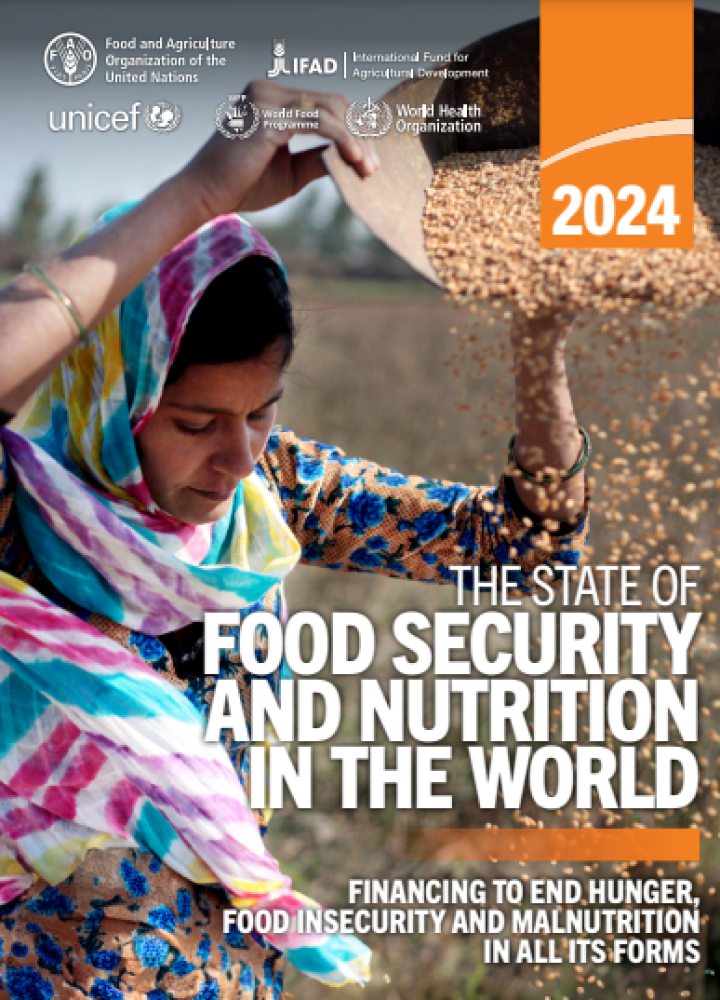 El estado de la seguridad alimentaria y la nutrición en el mundo 2024: Financiación para acabar con el hambre, la inseguridad alimentaria y la malnutrición en todas sus formas