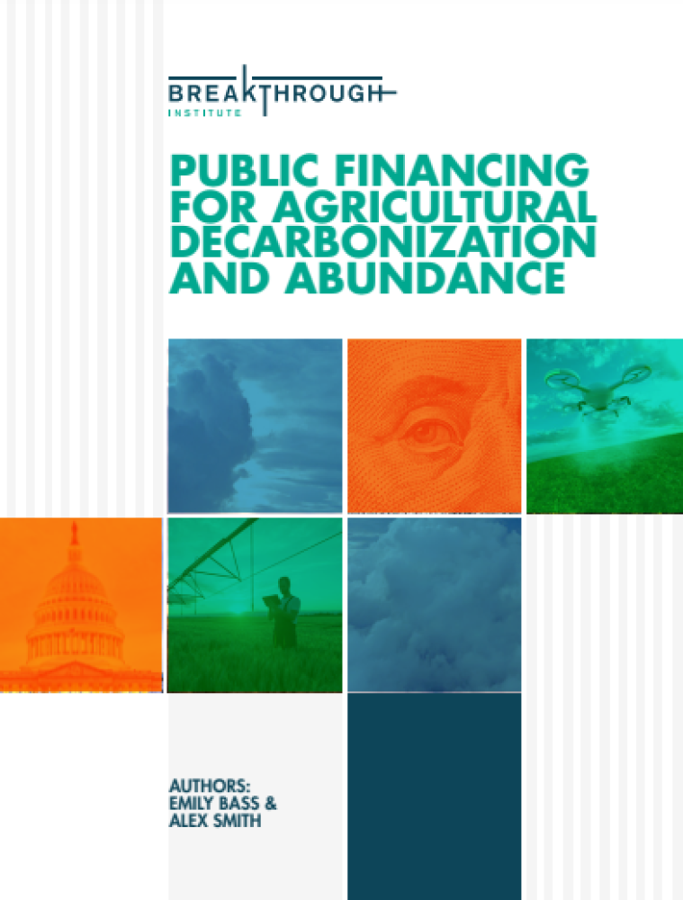Public financing for decarbonisation and agricultural abundance