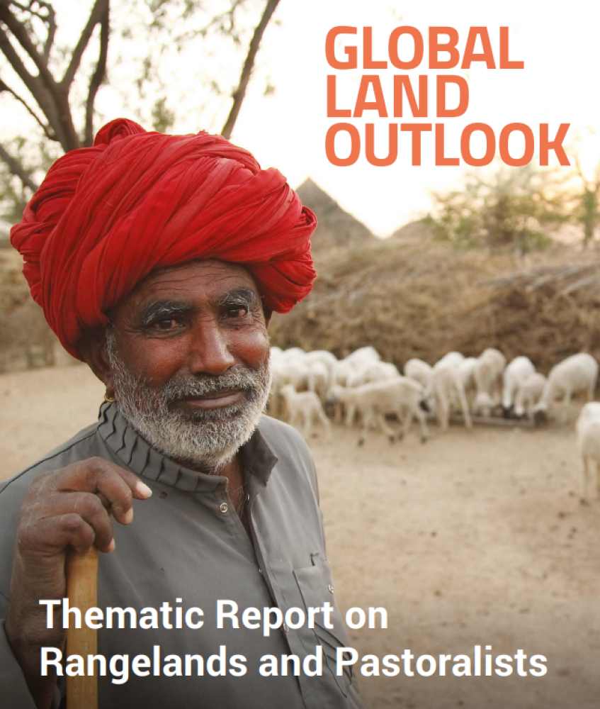 (ENG) Thematic report on rangelands and pastoralists