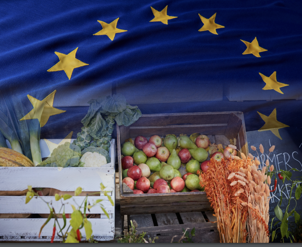 Impactos económicos y de seguridad alimentaria de la reducción de los insumos agrícolas en el marco de las estrategias «De la Granja a la Mesa» y de biodiversidad del Pacto Verde de la Unión Europea