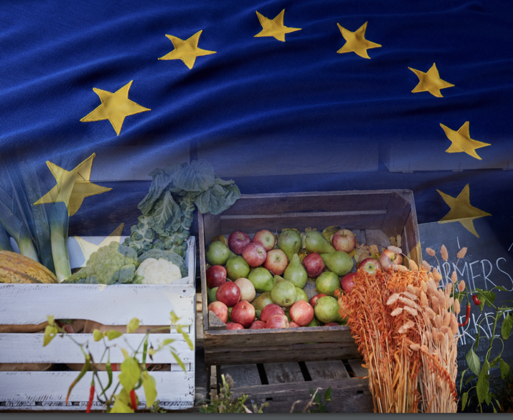 Economic and Food Security Impacts of Agricultural Input Reduction Under the European Union Green Deal’s Farm to Fork and Biodiversity Strategies