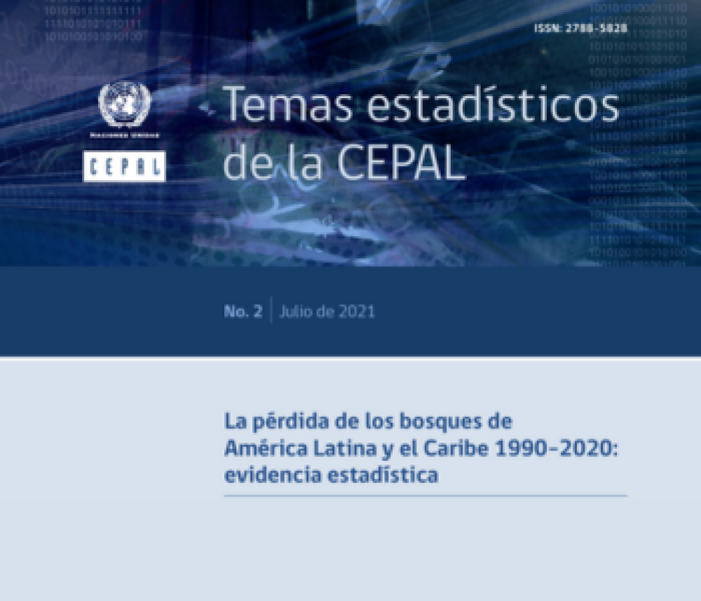 La pérdida de los bosques de América Latina y el Caribe 1990–2020: Evidencia estadística