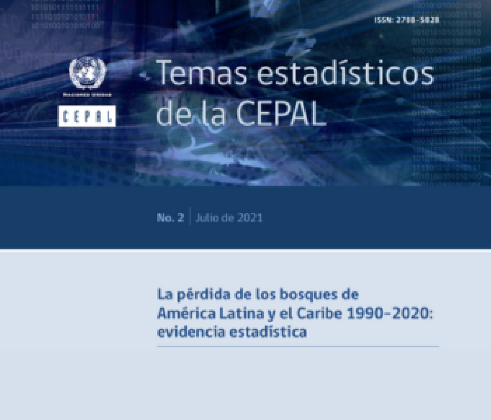 Forest loss in Latin America and the Caribbean from 1990 to 2020: The statistical evidence