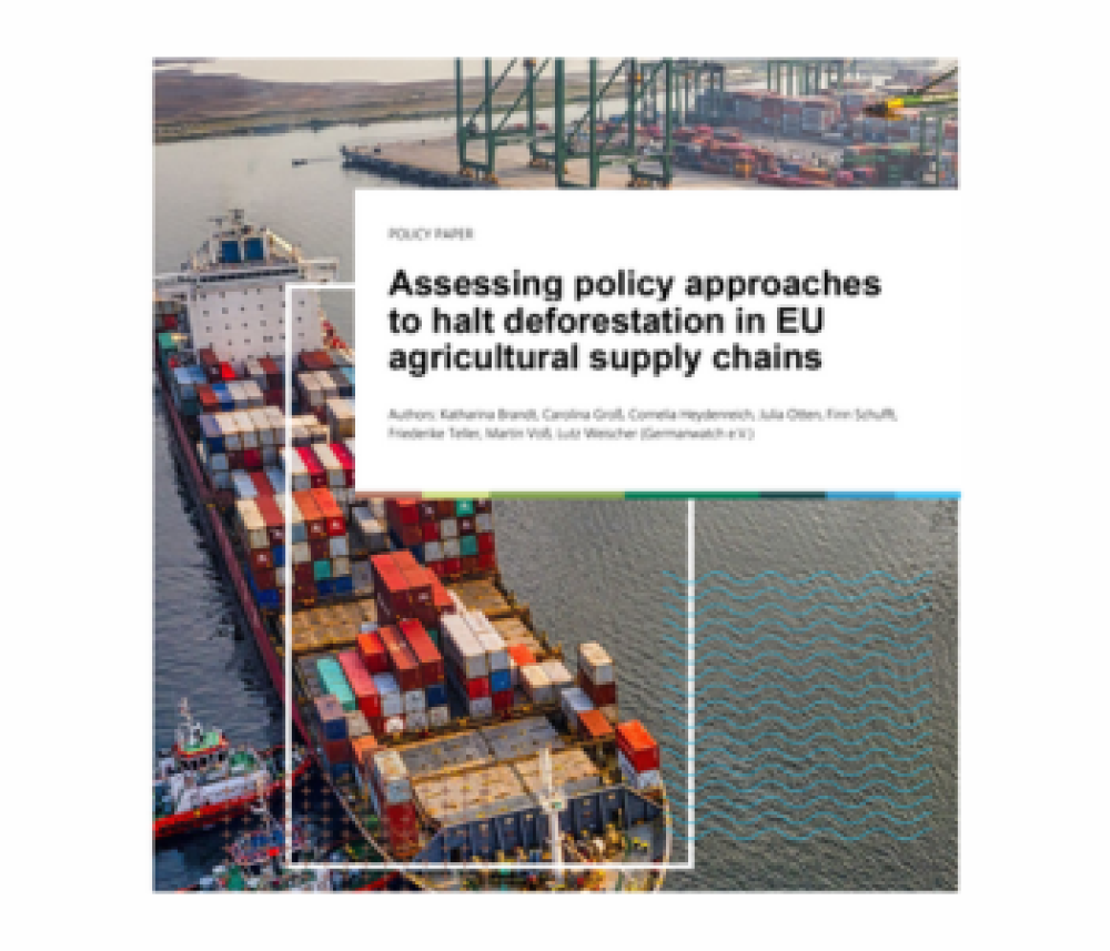 Assessing policy approaches  to halt deforestation in EU  agricultural supply chains