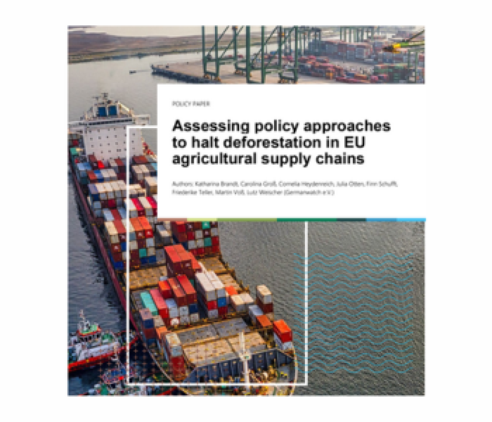 Evaluación de los planteamientos políticos para frenar la deforestación en las cadenas de suministro agrícola de la UE