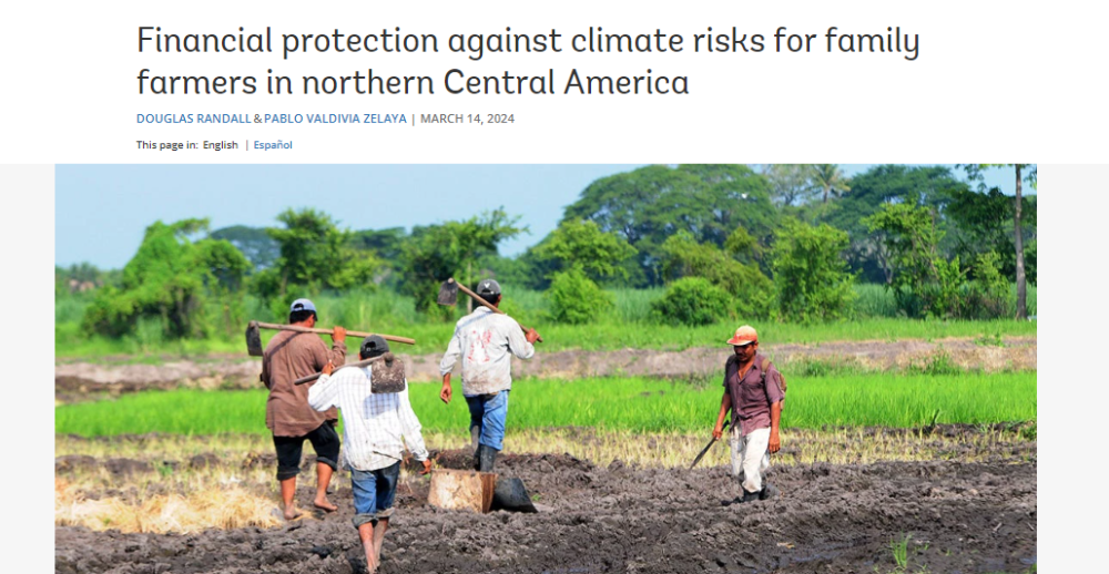 Protección financiera ante riesgos climáticos para agricultores familiares del norte de Centroamérica