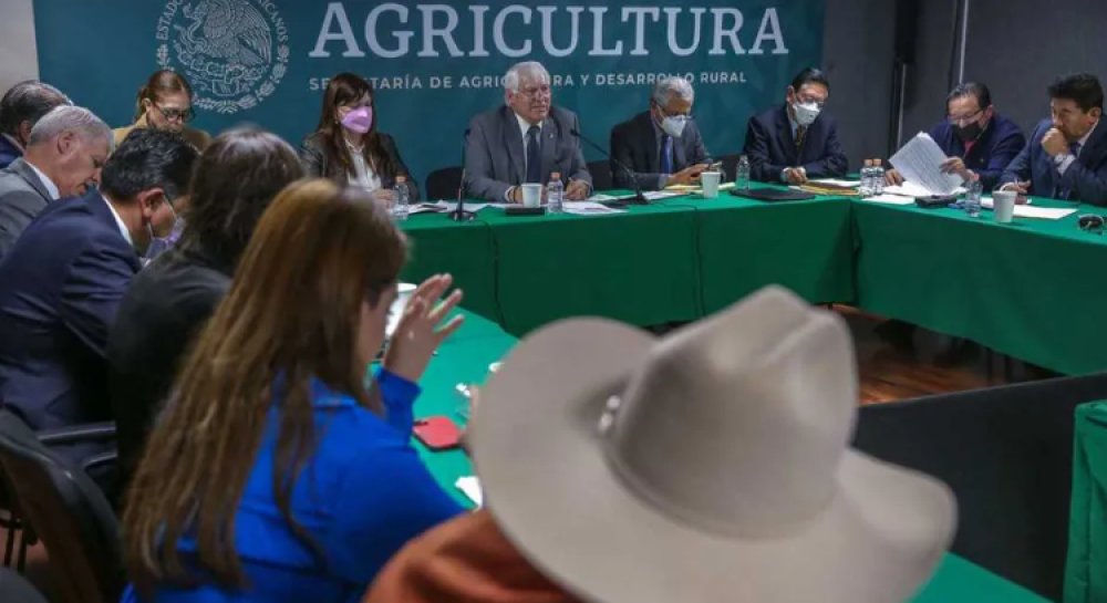 Gobierno mexicano toma acciones para abastecer de fertilizantes nitrogenados al sector agropecuario