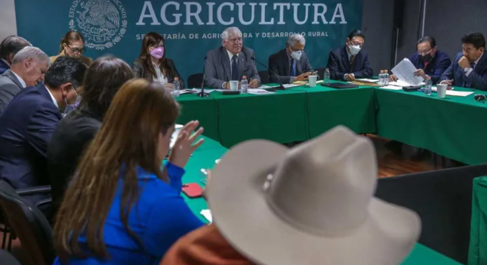 Mexican government takes action to supply nitrogen fertilizers to the agricultural sector