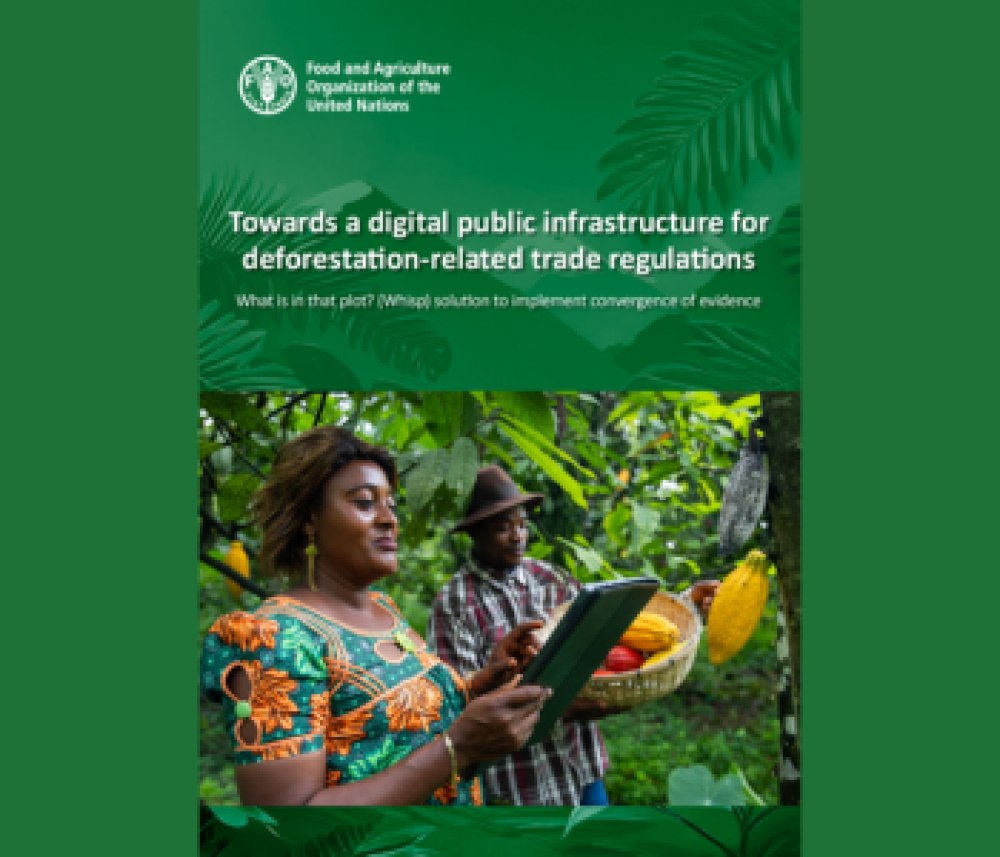 Towards a digital public infrastructure for deforestation-related trade regulations