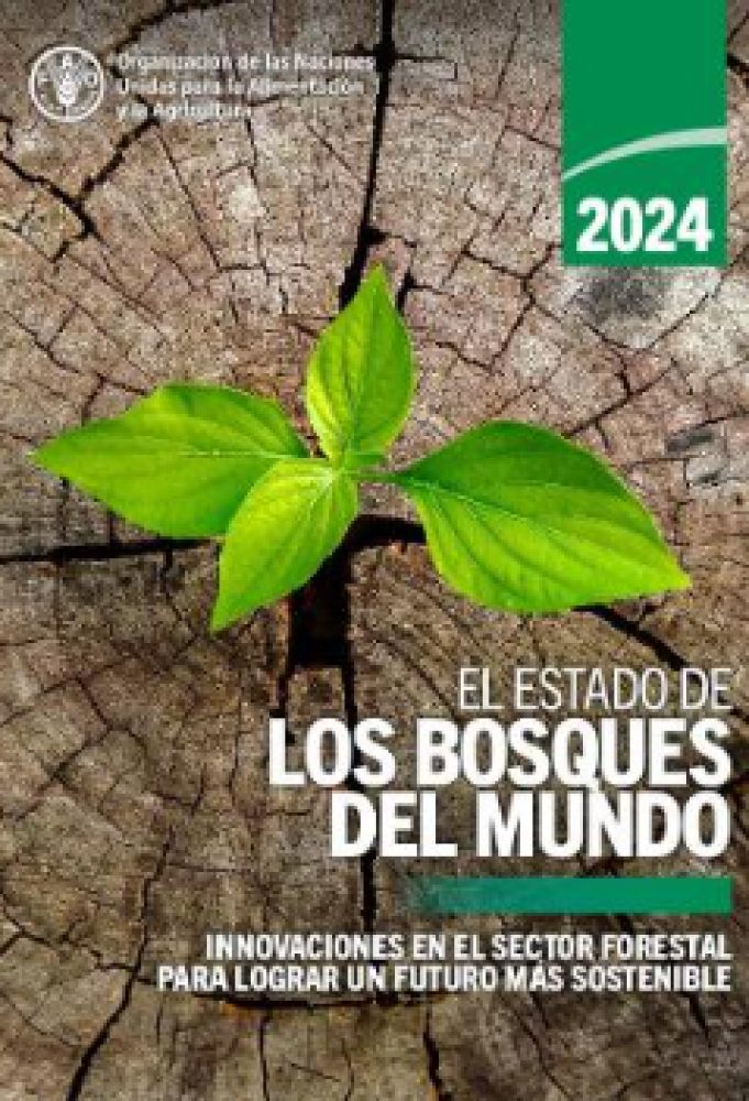 El estado de los bosques del mundo 2024 Innovaciones en el sector forestal para lograr un futuro más sostenible