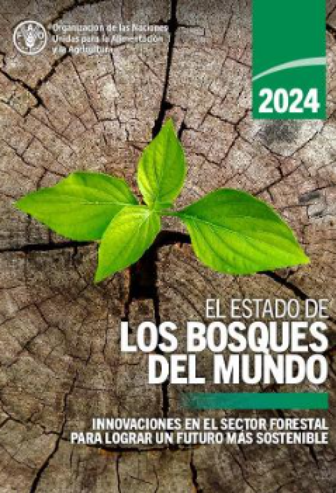 The State of the World's Forests 2024 Innovations in the forest sector for a more sustainable future