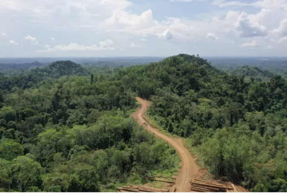 Commodities and Global Climate Governance: Early Evidence From the EU Deforestation-free Regulation (EUDR)