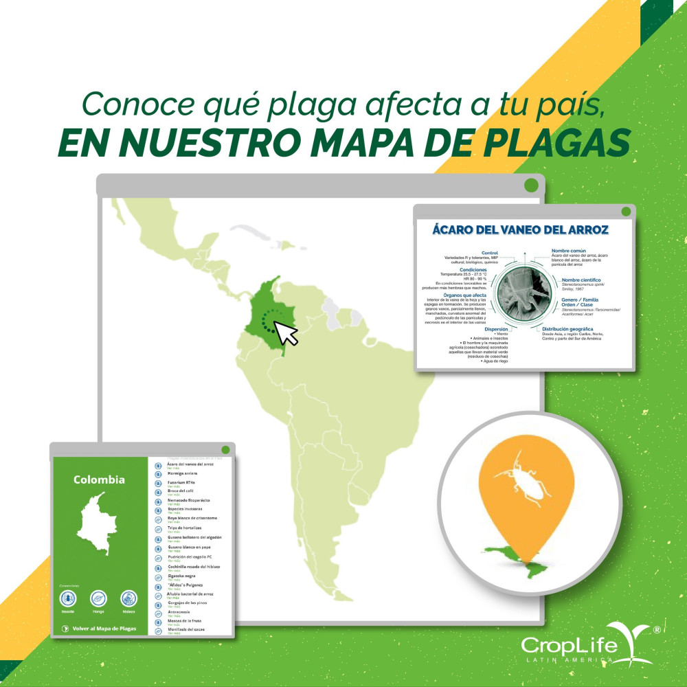 Map of pests in Latin America