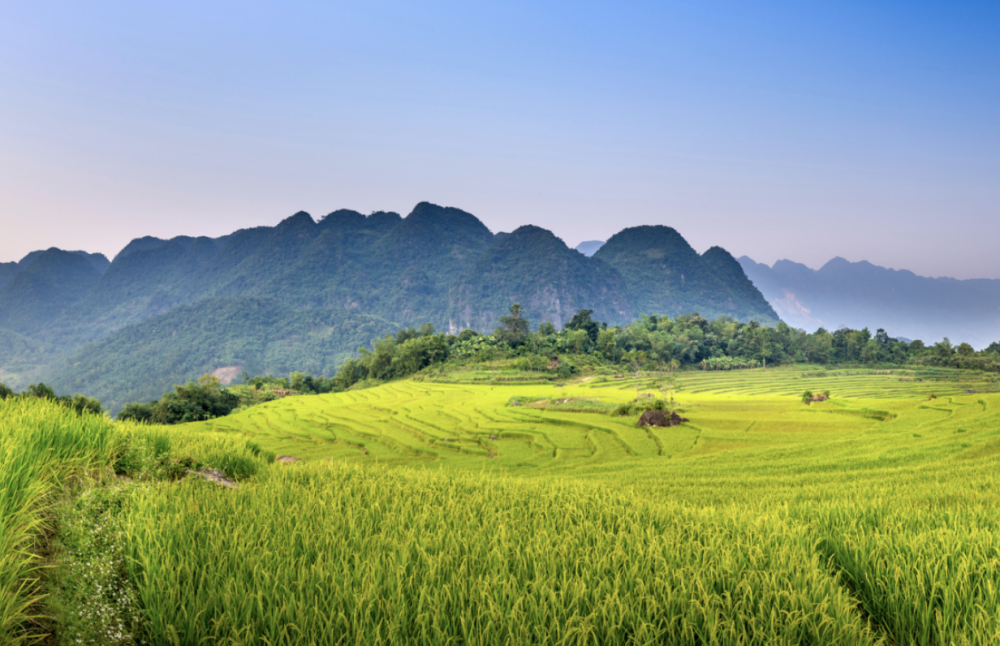 The government of Ucayali, Peru, adopts deforestation-free, low- emissions strategies to strengthen cocoa and palm oil value chains