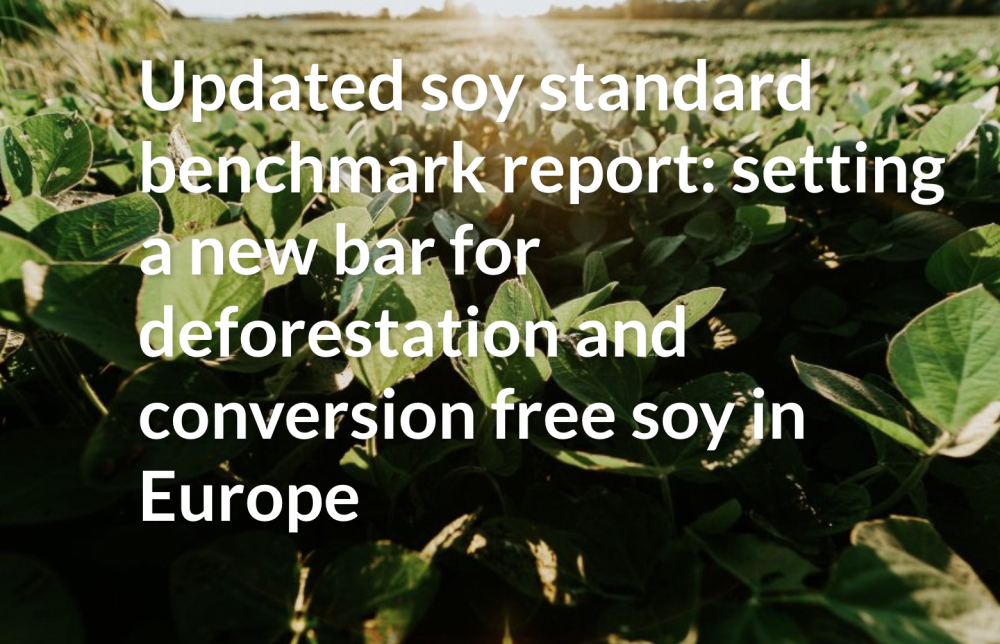 Estableciendo un nuevo estándar para la deforestación y la soja sin conversión en Europa Referencia independiente de los estándares de soja sobre los requisitos esenciales de sostenibilidad